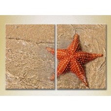 Картина ArtPoster Starfish on the shore 01 (2164422)