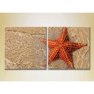 Картина ArtPoster Starfish on the shore (2164421)