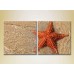 Картина ArtPoster Starfish on the shore (2164421)