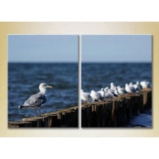 Картина ArtPoster Seagulls in Crimea 02 (2164438)