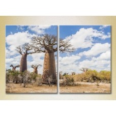 Картина ArtPoster Baobabs in the Savannah (2164445)