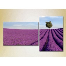 Картина ArtPoster Lavender field with tree 01 (2164459)