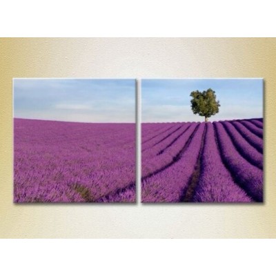 Картина ArtPoster Lavender field with tree (2164458)