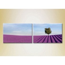 Картина ArtPoster Lavender field with tree 02 (2164460)