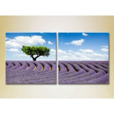 Картина ArtPoster Tree in lavender field (2164451)