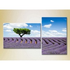 Картина ArtPoster Tree in lavender field 01 (2164452)