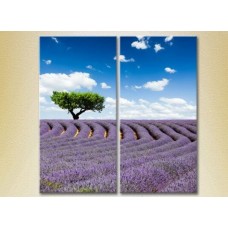 Картина ArtPoster Tree in lavender field 03 (2164454)