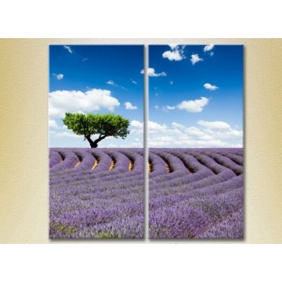 Картина ArtPoster Tree in lavender field 03 (2164454)