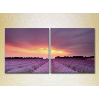 Картина ArtPoster Lavender field 04 (2164472)