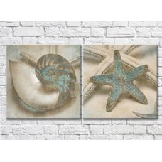 Картина ArtPoster Shell and starfish in Turquoise colors (3453072)