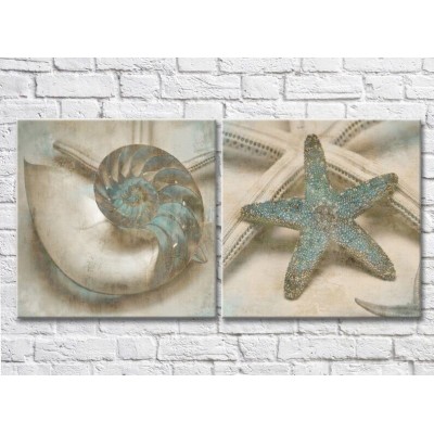 Картина ArtPoster Shell and starfish in Turquoise colors (3453072)