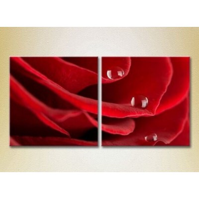 Картина ArtPoster Drops on a Red rose 02 (2613776)