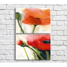 Картина ArtPoster Orange and Red poppies on White background (3467854)