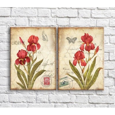 Картина ArtPoster Red irises and butterflies in vintage style (3467853)