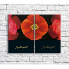 Pictură ArtPoster Orange poppies on Black background (3467855)