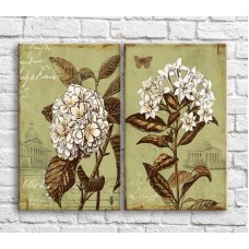 Pictură ArtPoster White bouquets on the background of architecture in vintage style (3467833)