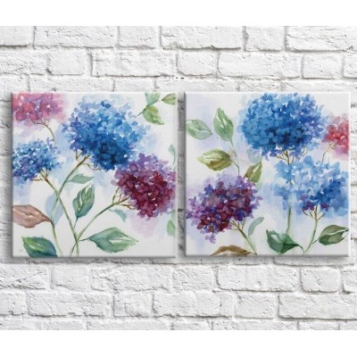 Pictură ArtPoster Blue and Burgundy hydrangea in oil on a White background (3467792)