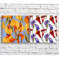 Pictură ArtPoster Multicolored calla lilies on White and Blue backgrounds (3467769)