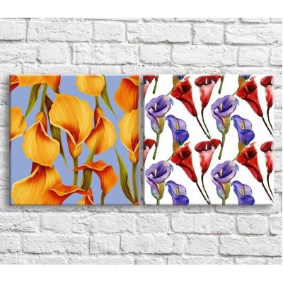 Pictură ArtPoster Multicolored calla lilies on White and Blue backgrounds (3467769)