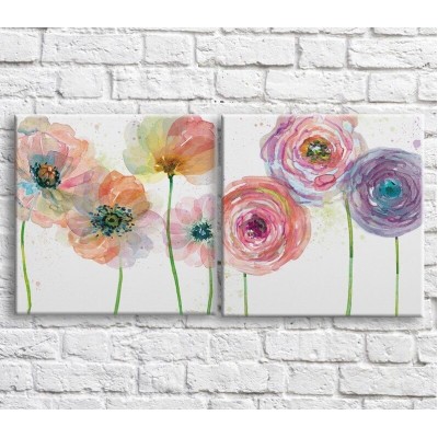 Pictură ArtPoster Poppies with colorful petals on a White background (3467753)