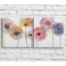 Pictură ArtPoster Poppies with colorful petals on a White background (3467753)