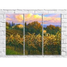 Pictură ArtPoster Vineyards in the Hills (3470935)