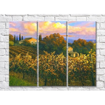 Pictură ArtPoster Vineyards in the Hills (3470935)