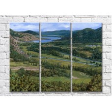 Pictură ArtPoster Vineyards in the Hills (3470936)