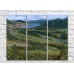 Pictură ArtPoster Vineyards in the Hills (3470936)