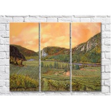 Pictură ArtPoster Vineyards in the Hills (3470937)