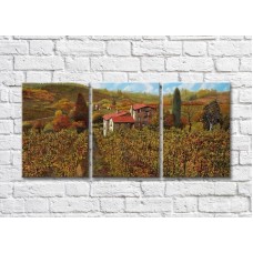 Pictură ArtPoster Vineyards in the Hills (3470964)