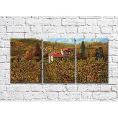 Pictură ArtPoster Vineyards in the Hills (3470964)