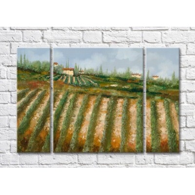 Pictură ArtPoster Vineyards in the Hills (3470957)