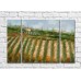 Pictură ArtPoster Vineyards in the Hills (3470957)