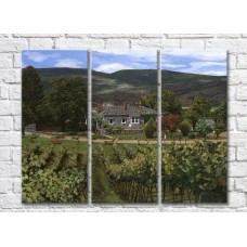 Pictură ArtPoster Vineyards in the Hills (3470939)