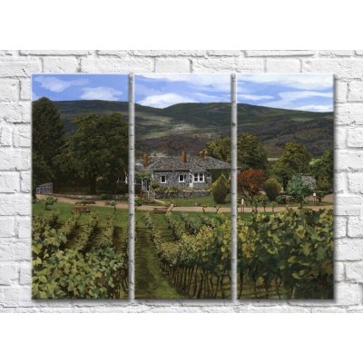 Pictură ArtPoster Vineyards in the Hills (3470939)