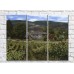 Pictură ArtPoster Vineyards in the Hills (3470939)