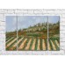 Pictură ArtPoster Vineyards in the Hills (3470963)