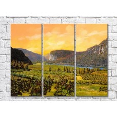 Pictură ArtPoster Vineyards in the Hills (3470940)