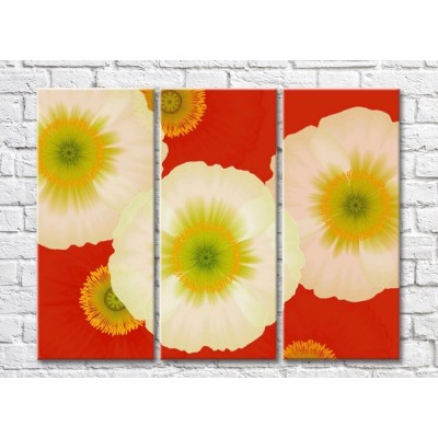 Pictură ArtPoster Abstraction from White large poppy flowers on a Red background (500037)