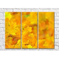 Pictură ArtPoster Abstraction from Yellow autumn foliage (500039)