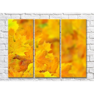 Картина ArtPoster Abstraction from Yellow autumn foliage (500039)