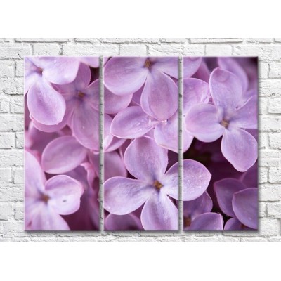 Картина ArtPoster Abstraction from large flowers of lilac (500041)