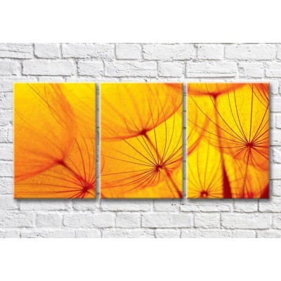 Картина ArtPoster Abstract dandelion petals on a Yellow background (3565210)