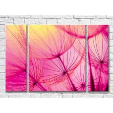 Картина ArtPoster Abstract dandelion petals on a Pink background (3565169)