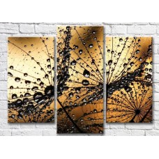 Картина ArtPoster Abstract dandelion petals with dew drops (3565183)