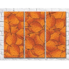 Картина ArtPoster Abstract Orange autumn foliage (500042)