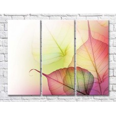 Картина ArtPoster Abstract from transparent leaves (500044)