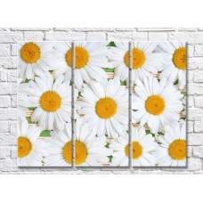 Pictură ArtPoster Abstract chamomile flowers (500052)