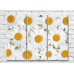 Картина ArtPoster Abstract chamomile flowers (500052)